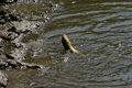 2008 EBC Service at Oxbow Park-172.jpg